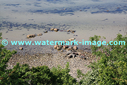 TSR Watermark Image Software Example 5